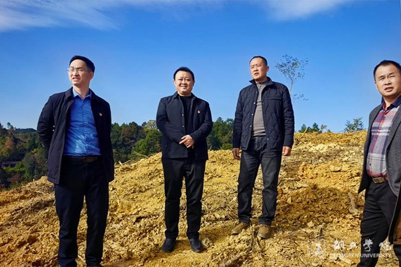 纪委书记张仕凯到乡村振兴联系点调研并看望慰问驻村干部